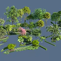 Arbor Trees In Diverse Landscaping Scene With Various Species And Lush Greenery