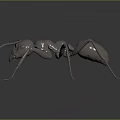 Metallic Ant With Shiny Exoskeleton On Black Background With Reflection 3d model
