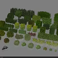Different Varieties Of Shrubs With Various Shapes Sizes And Colors For Garden Design