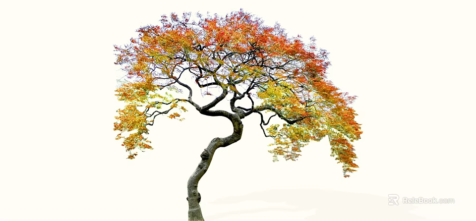Arbor With Curved Trunk And Colorful Red Yellow Autumn Leaves 3d model 