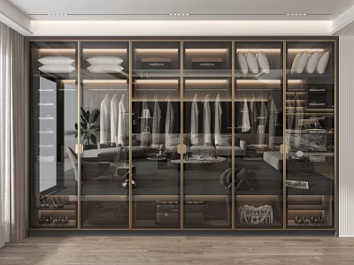 Modern Wardrobe Interior Design With Glass Doors Hanging Clothes And Shoe Storage 3d model