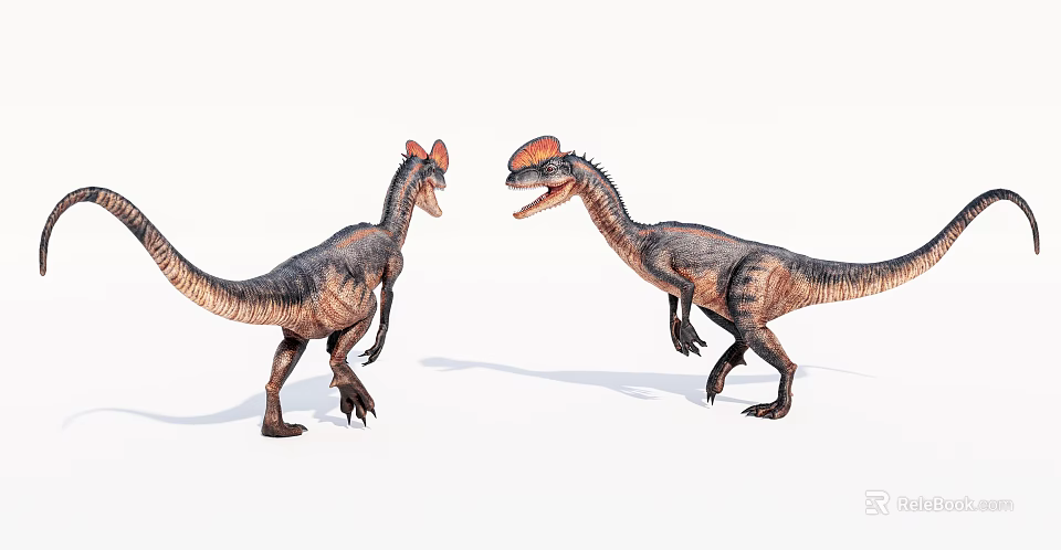 Reptile Dinosaurs With Crested Heads Standing In Upright Posture Facing Each Other 3d model 