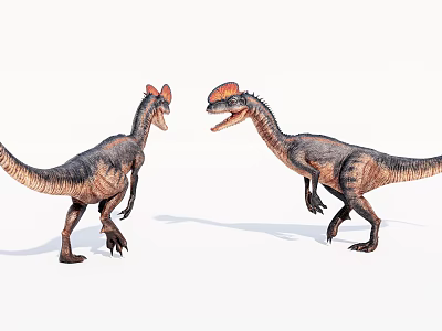 Reptile Dinosaurs With Crested Heads Standing In Upright Posture Facing Each Other 3d model