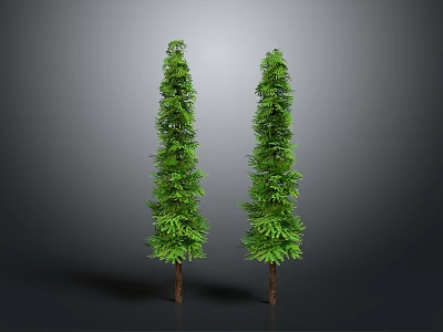 Two Tall Green Pyramidal Trees With Brown Trunks On Grey Background 3d model