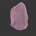 Natural Wood Stone Piece With Irregular Shape And Natural Brown Texture