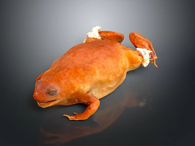 Isolated Vibrant Orange Frog With Shiny Skin on Dark Background 3d model
