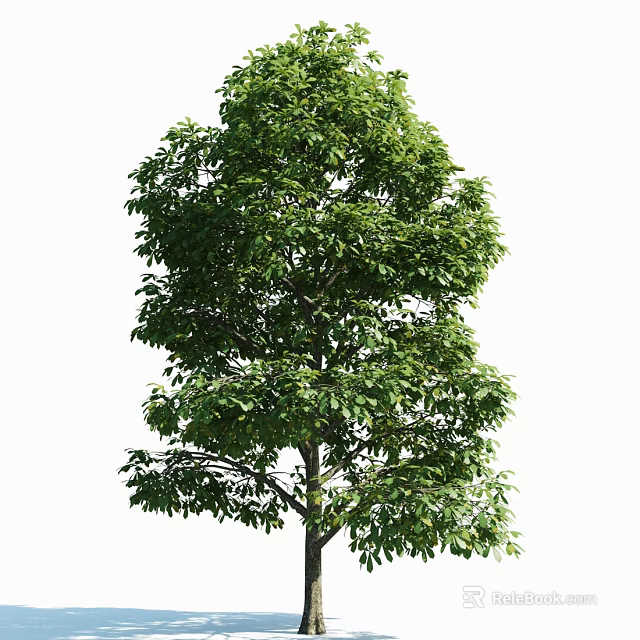 Lush Green Arbor With Dense Foliage And Strong Trunk In Natural Setting 3d model 