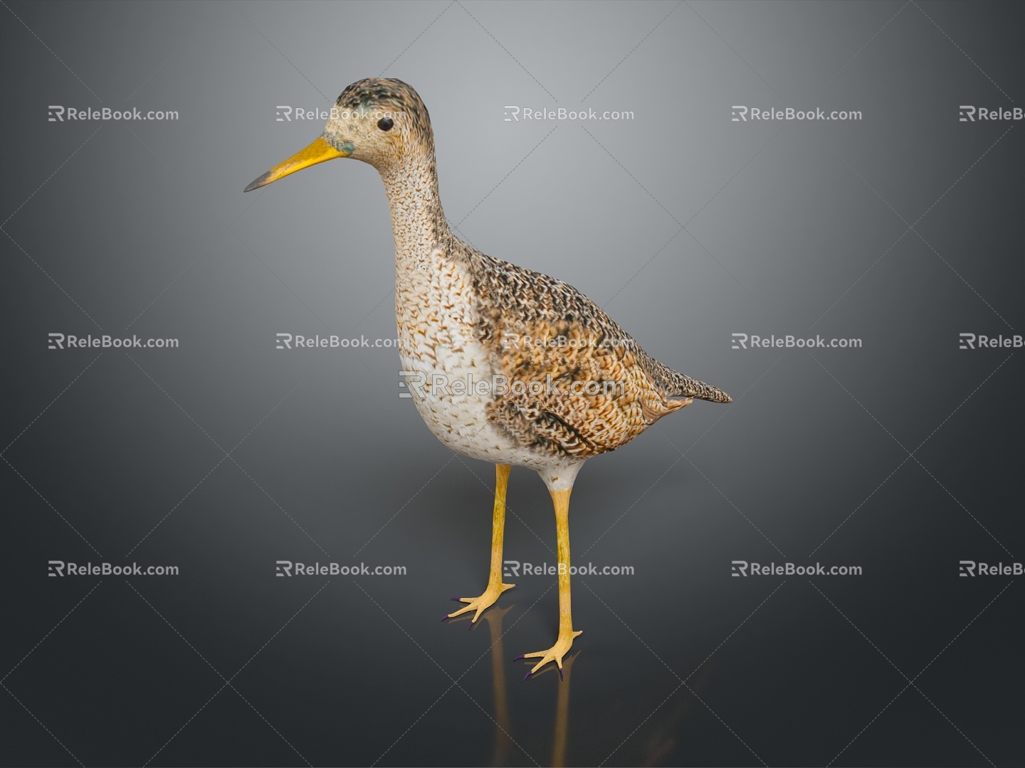 bird bird bird bird game animal cartoon animal animal realistic animal 3d model