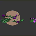 Potted Plants With Green Leaves Purple And Pink Flowers On Base