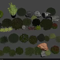 Various Types of Bushes with Different Shapes and Decorative Stones on Gray Background