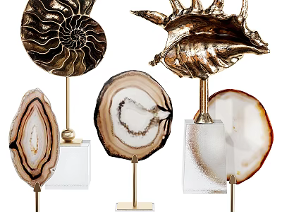Golden Conch Shell Sculptures And Agate Slice Carvings With Decorative Bases For Artistic 3d model