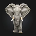 3D Rendered Elephant Model With Gray Skin And White Tusks Standing On Black Background