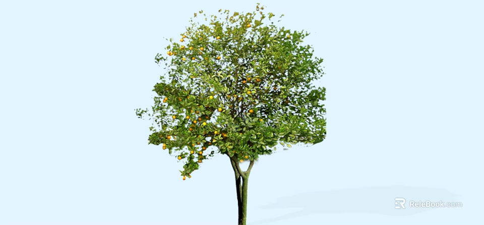 Vibrant Fruit Arbor with Green Foliage and Yellow Fruits Against Light Blue Background 3d model 