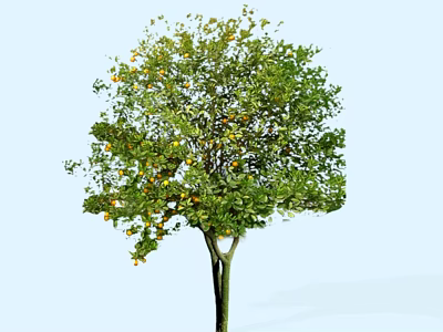 Vibrant Fruit Arbor with Green Foliage and Yellow Fruits Against Light Blue Background 3d model