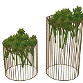 Modern Metal Wire Cylinder Planters With Lush Green Succulent Foliage