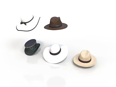 Assorted Stylish Hats In Different Styles For Daily Fashion Accessory 3d model