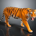 3D Rendered Tiger with Orange Fur Black Stripes Open Mouth on Black Background Ground Reflection