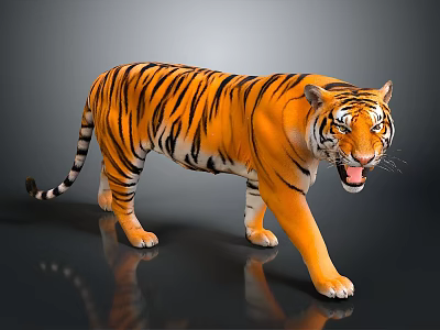 3D Rendered Tiger with Orange Fur Black Stripes Open Mouth on Black Background Ground Reflection 3d model