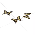 insect butterfly 3d model