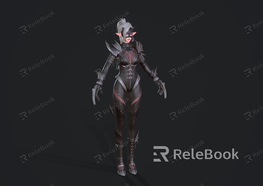 Catwoman Assassin Night Ranger model