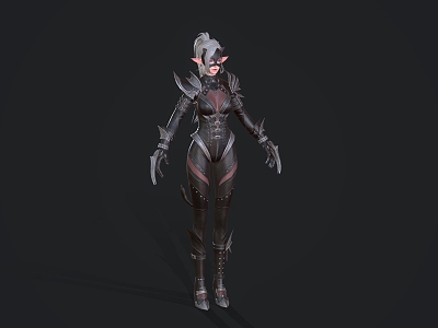 Catwoman Assassin Night Ranger model