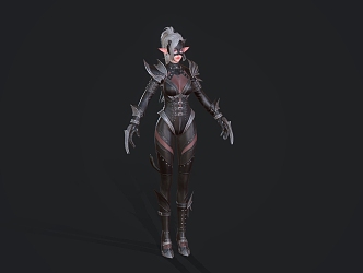 Catwoman Assassin Night Ranger 3d model