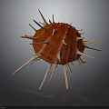 Organ And Hair Like Structures On Red Spiky Seashell With White Spines