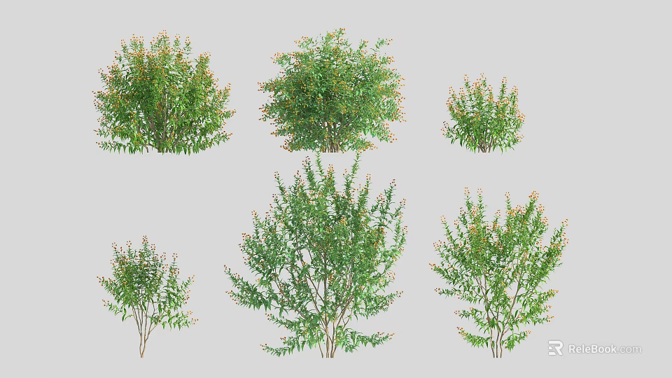 Arbor Collection Showcasing Six Varied Forms Lush Green Foliage And Sizes 3d model