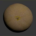 Fresh Ripe Whole Cantaloupe Melon with Orange Netted Skin on Dark Background