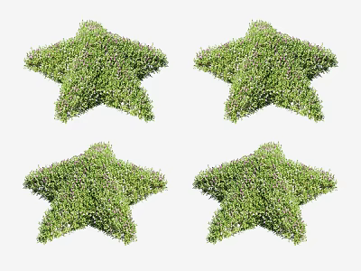Star Shaped Green Topiary Plants With Small Flowers For Garden Design 3d model