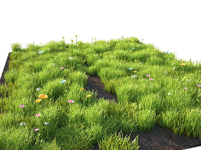 Colorful Flowers And Lush Green Grass Thriving Vibrantly In Natural Meadow 3d model
