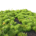 Colorful Flowers And Lush Green Grass Thriving Vibrantly In Natural Meadow