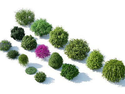 Various Types of Green and Purple Garden Shrubs for Landscaping Design 3d model