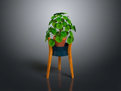 Indoor Green Plant with Round Leaves in Ceramic Pot on Wooden Stand 3d model