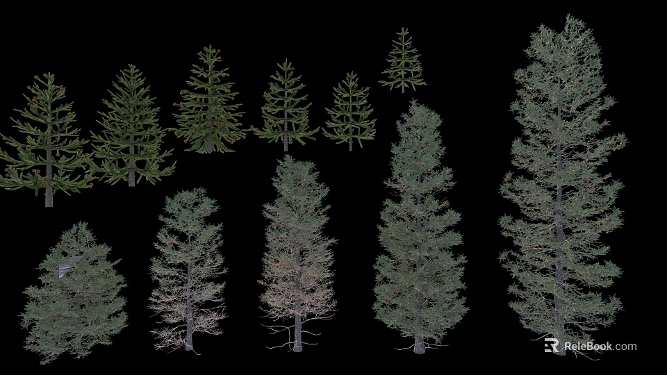 Various Coniferous Arbor Trees With Different Shapes And Sizes Isolated On Black 3d model 