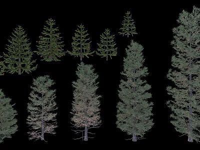 Various Coniferous Arbor Trees With Different Shapes And Sizes Isolated On Black 3d model