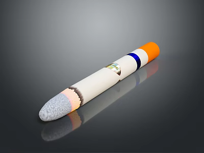 Detailed 3D Rendering Of White Rocket With Orange Tip Gray Base And Blue Stripe 3d model
