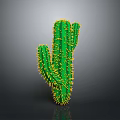 Green Cactus Plant With Yellow Spines On Gray Gradient Background And Bottom Reflection 3d model