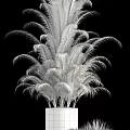 Stylish Bonsai Potted Plants With Lush Green Foliage Silver Metallic Pots And Decorative Display Stands