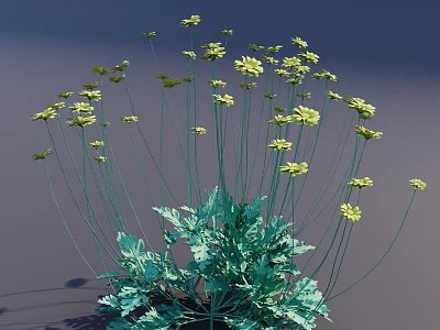 Lush Yellow Flowers With Slender Stems And Green Leaves Against Gray Background 3d model