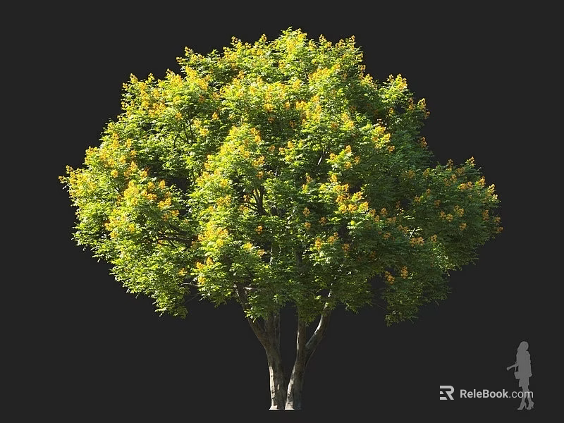 Tall Arbor With Lush Green Foliage And Double Trunk Yellow Accents 3d model 
