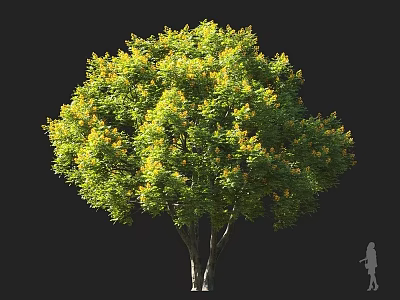 Tall Arbor With Lush Green Foliage And Double Trunk Yellow Accents 3d model