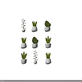 Different Types Of Green Indoor Plants In White Ceramic Pots On Black Background