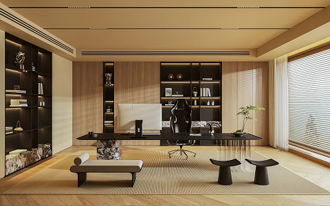 Study 3d model