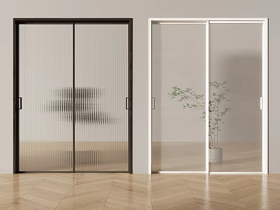 Modern Sliding Doors With Black And White Framed Ribbed And Clear Glass And Potted Plant 3d model