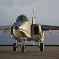 Metallic Gray Fighter Jet With Green Tail Flying In Pink Sky With Clouds