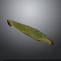 Fresh Healthy Green And Red Striped Long Vegetable With Textured Surface
