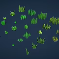 Varied Green Grass Collection with Different Shapes Sizes on Dark Blue Background