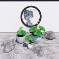 Serene Courtyard Garden With Circular Window Lotus Leaf Plants Stones And Stone Paved Floor
