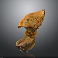 Crispy Roasted Orange Yellow Mushroom With Unique Shape And Delicious Taste